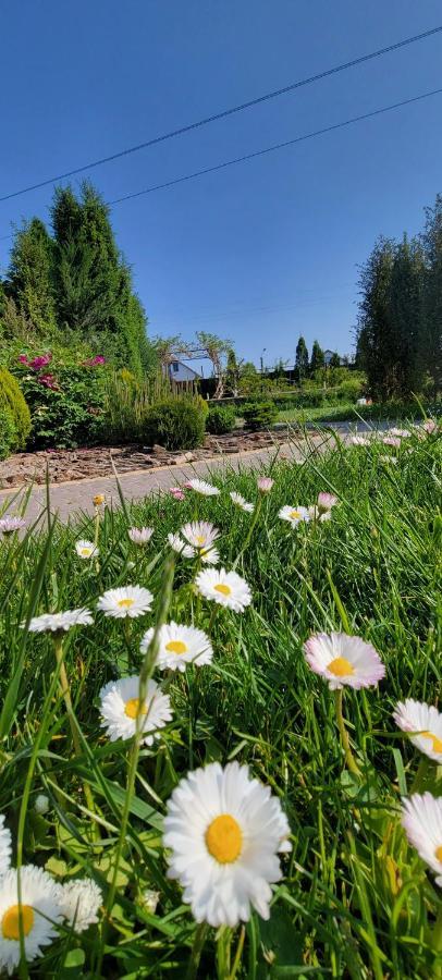 Трушки34 Villa Trushki ภายนอก รูปภาพ
