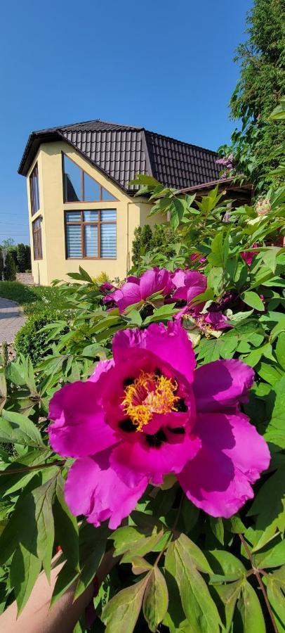 Трушки34 Villa Trushki ภายนอก รูปภาพ